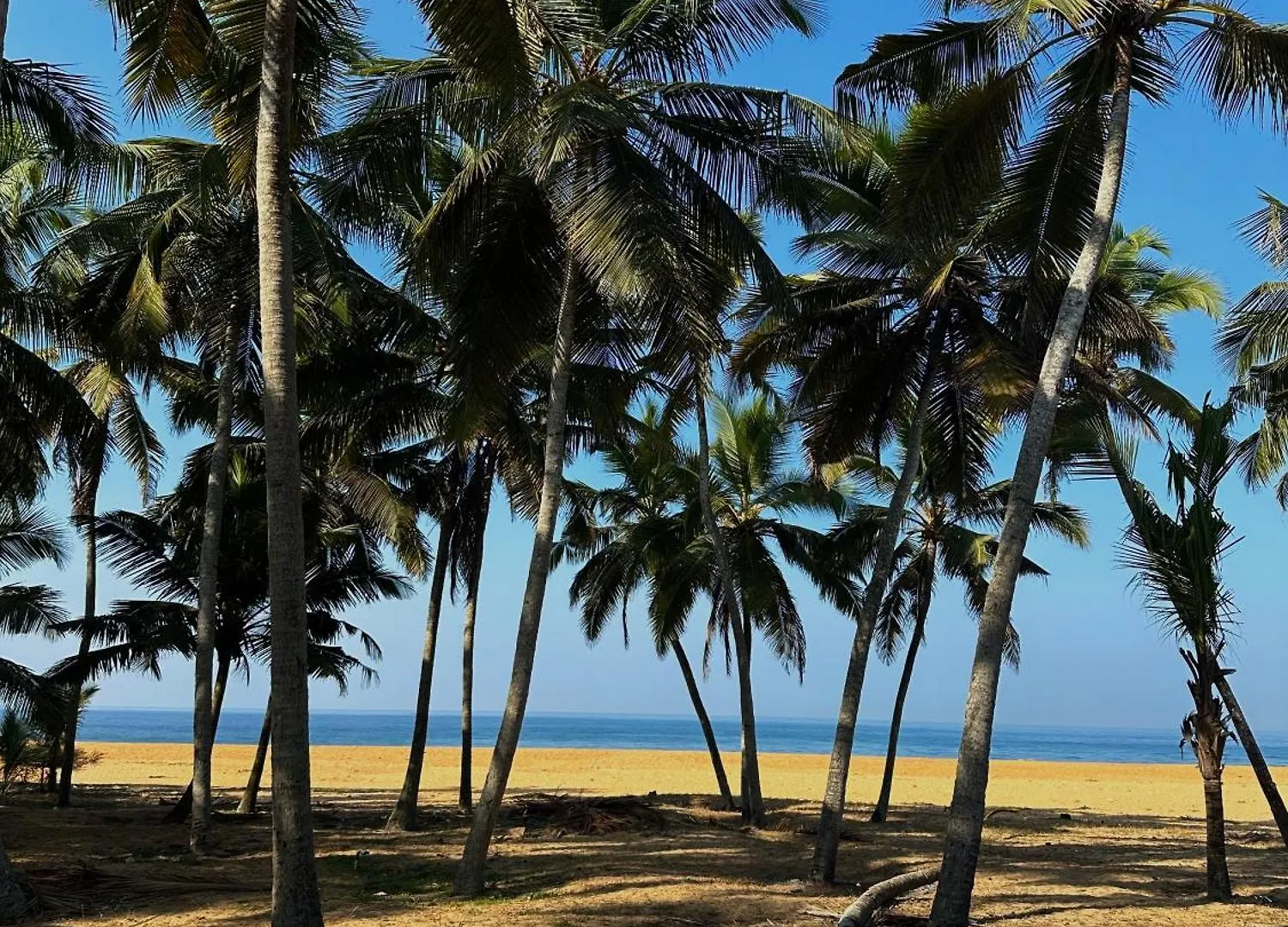 Spacious Beach Side House - Joyce Cottage Kerala Thiruvananthapuram